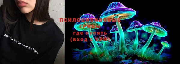 индика Абинск