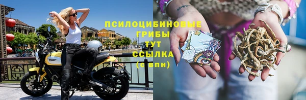 тгк Алзамай