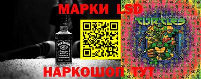 спайс Славгород