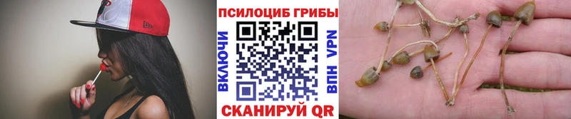 Галлюциногенные грибы MAGIC MUSHROOMS  Тюмень 