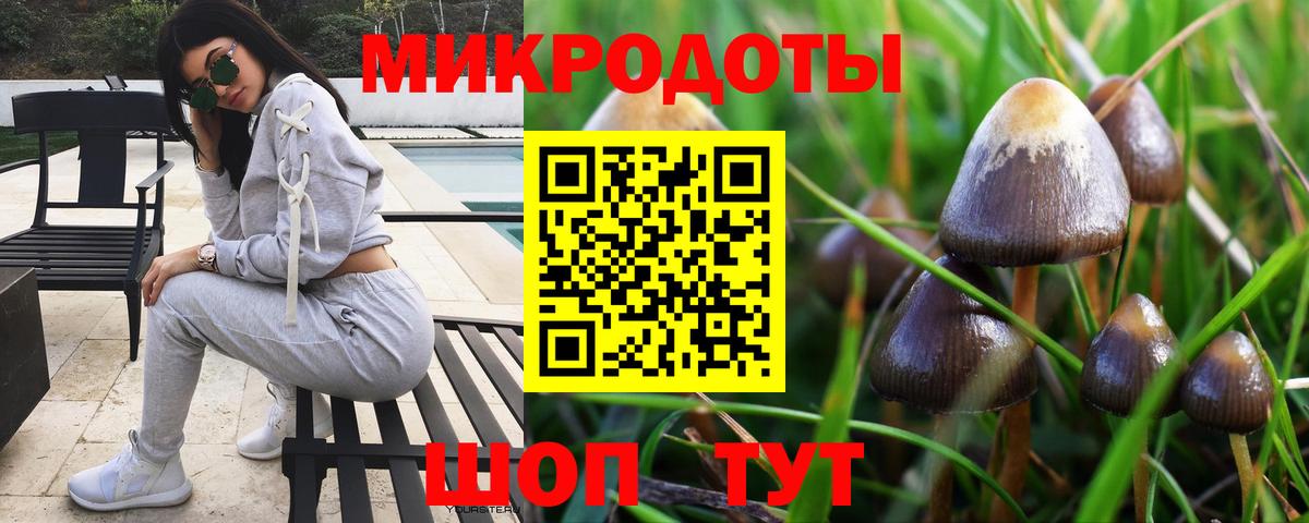 Псилоцибиновые грибы прущие грибы Тюмень