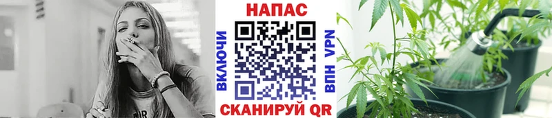 Конопля семена  сайты даркнета наркотические препараты  Тюмень  как найти наркотики 